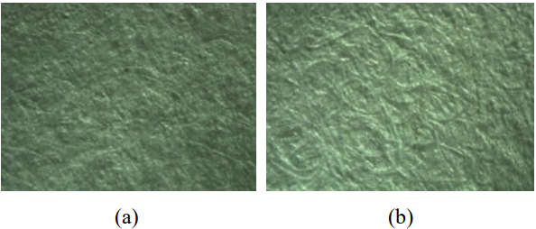 Влияние неоднородности прессового сукна на гладкость и обезвоживание бумажного полотна3.png Влияние неоднородности прессового сукна на гладкость и обезвоживание бумажного полотна3.png