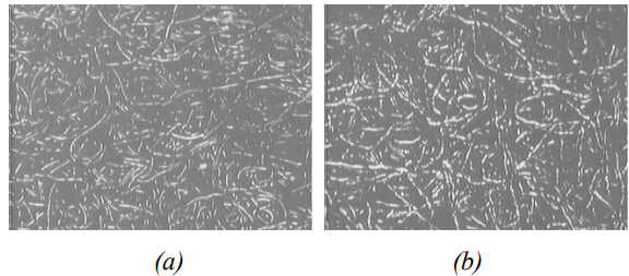 Влияние неоднородности прессового сукна на гладкость и обезвоживание бумажного полотна5.png Влияние неоднородности прессового сукна на гладкость и обезвоживание бумажного полотна5.png