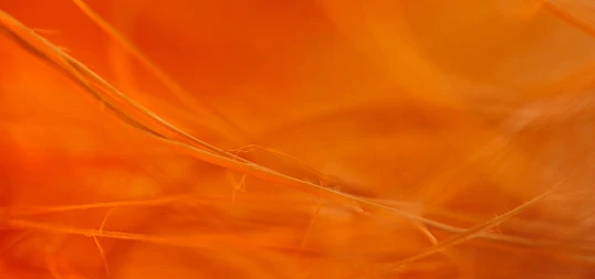 Сравнение способности к размолу волокнистых полуфабрикатов в лабораторных стандартизированных условиях 