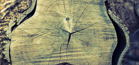 Целенаправленный подход к созданию энергоэффективных упаковочных материалов из высоковыходных массе